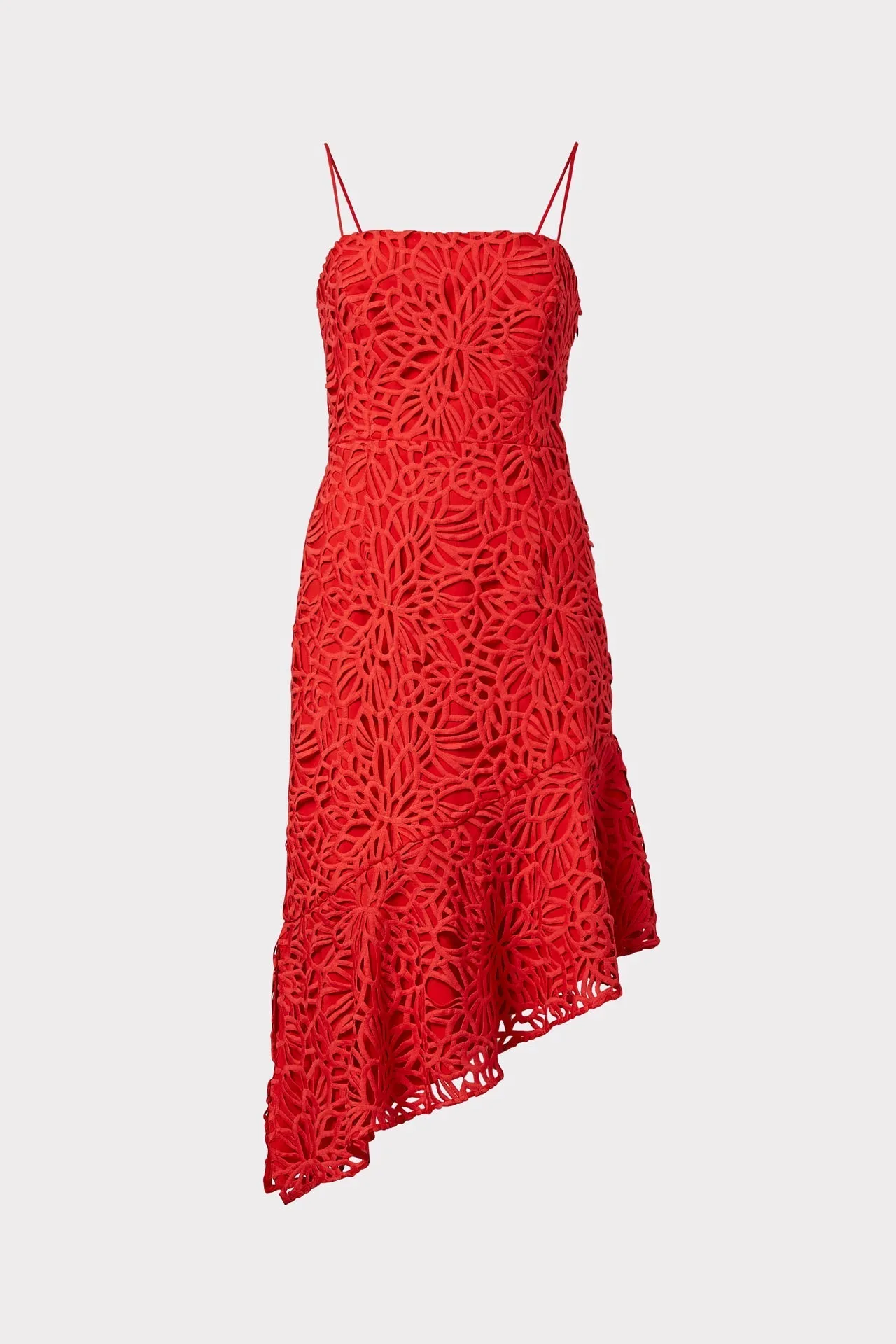 Diara Embroidered Lace Dress